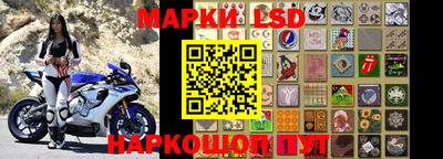 шишки Лесосибирск