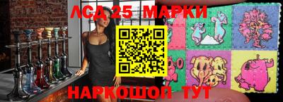 шишки Лесосибирск