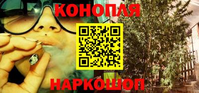 шишки Лесосибирск
