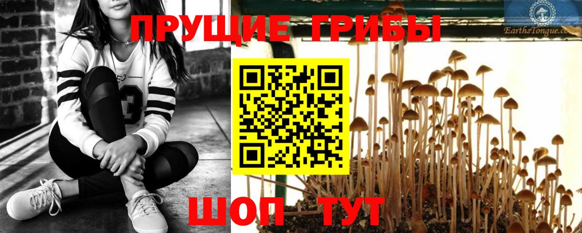 Псилоцибиновые грибы мухоморы Усть-Джегута