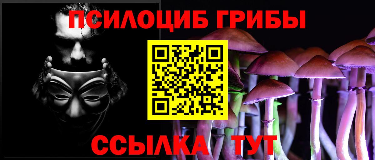 купить наркоту  Галлюциногенные грибы Psilocybine cubensis  Галлюциногенные грибы Magic Shrooms  Вход с VPN  Усть-Джегута 